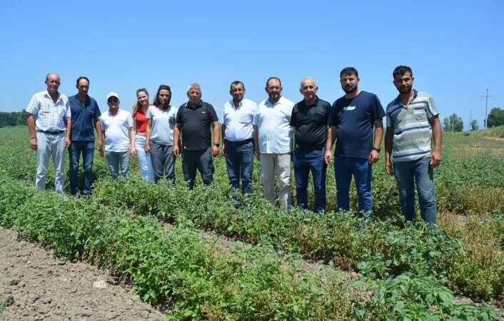 Olay Gazetesi Yazarı Ahmet Emin Yılmaz, Karacabey'de domates üreticilerinin yaşadığı