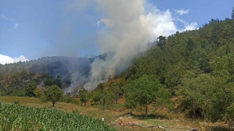 Bursa’nın Keles ilçesinde orman yangını Bursa'nın Keles ilçesinde ormanlık alanda yangın çıktı. Yangın kısa sürede