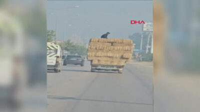 Bursa’da tehlikeli yolculuk kamerada