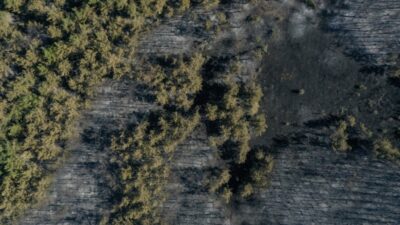 Bursa’nın ciğerleri yandı! Küle dönen ormanlık alan havadan görüntülendi