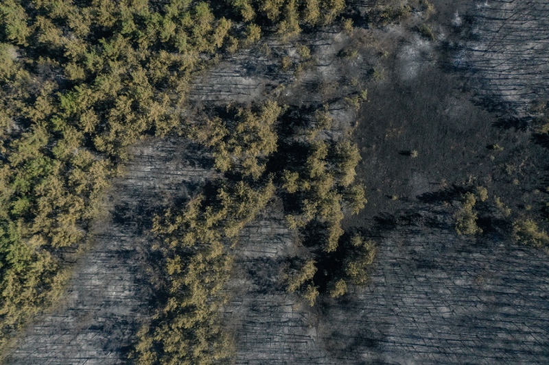 Bursa’nın ciğerleri yandı! Küle dönen ormanlık alan havadan görüntülendi Bursa’nın ciğerleri yandı! Küle dönen ormanlık alan havadan görüntülendi