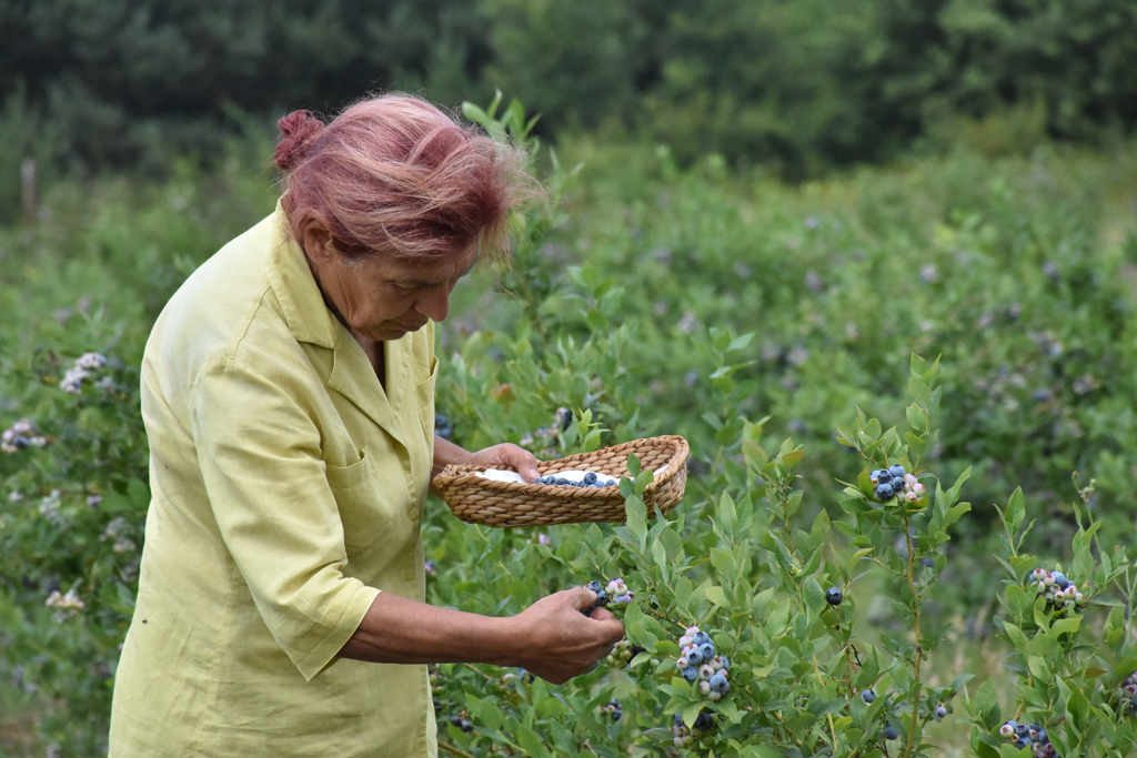 Emeklilik sonrası Bursa’ya yerleşti! Kendi markasını oluşturdu