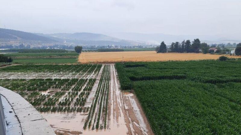 Bursa Ovası’nda binlerce dönüm ekili alan sular altında Bursa'da sağanak yağış ovadaki tarım alanlarında binlerce dönüm ekili alanı