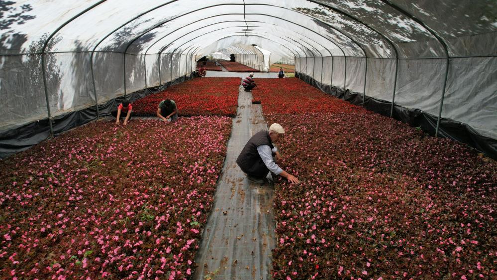 Bursa’da bu yöntemi denedi, 5 kat fazla verim aldı Bursa’da bu yöntemi denedi, 5 kat fazla verim aldı