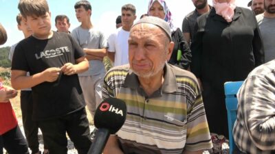 Bursa’da ağaçlar kesildi, köylüler hıçkıra hıçkıra ağladı