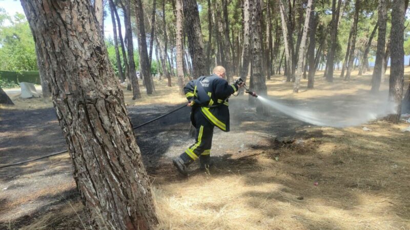 Orman yangınlarıyla ciğerlerimizin yandığı yaz mevsiminde, Bursa orman yangını tehlikesinden