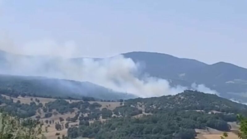 Bursa’daki orman yangınında yeni gelişme! Bursa'nın Orhaneli ilçesinde, ormanlık alanda çıkan yangın kontrol altına alındı.