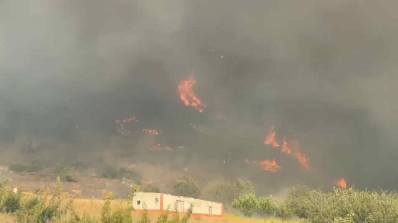 Bursa'nın İznik ilçesinde ormanlık alanda başlayan yangın kontrol altına alındı.
