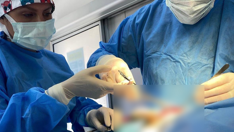 Osmangazi’de 6 ayda 2170 kedi ve köpek kısırlaştırıldı