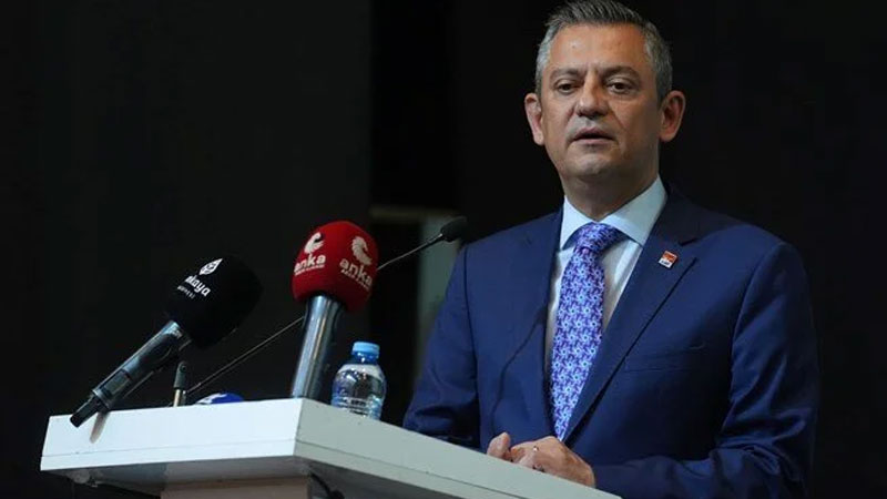 Özel: ”Sahipsiz köpekler konusunu AYM’ye götüreceğiz” Özel: ”Sahipsiz köpekler konusunu AYM’ye götüreceğiz”