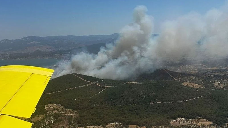 İzmir’de orman yangını: 2 site tahliye edildi İzmir’de orman yangını: 2 site tahliye edildi