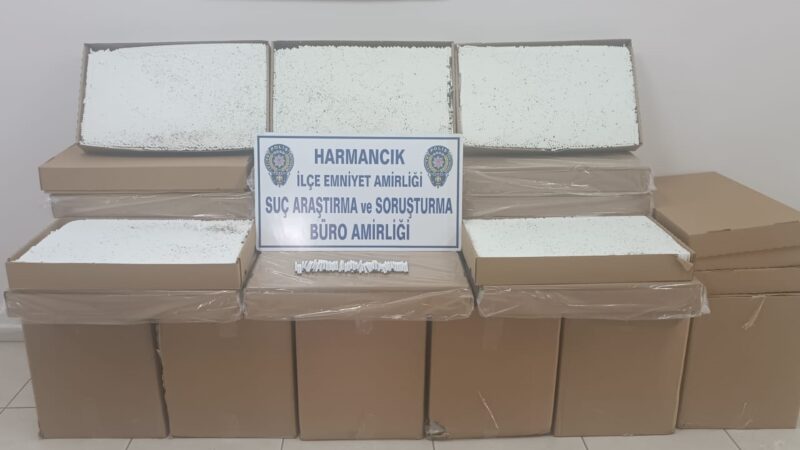 Bursa’da 270 bin dolu makaron ele geçirildi Bursa’nın Harmancık ilçesinde düzenlenen kaçak sigara operasyonunda 270 bin dolu