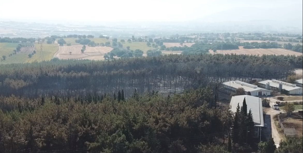 Bursa Uludağ Üniversitesi Rektörü Yılmaz’dan yangınla ilgili yeni açıklama Bursa Uludağ Üniversitesi Rektörü Yılmaz’dan yangınla ilgili yeni açıklama