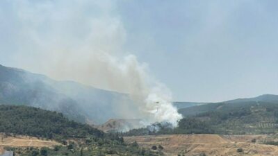 Ciğerlerimiz yanıyor! 4 ilde orman yangını…