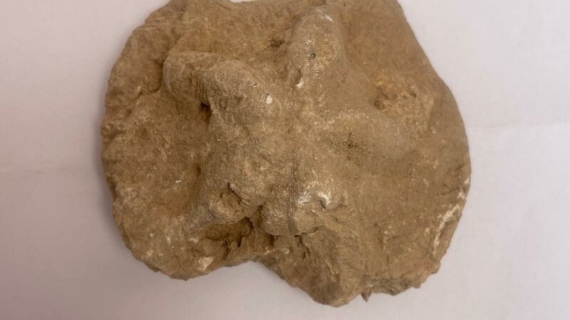 Diyarbakır'ın Kulp ilçesinde arkeolojik kazılarda bulunan 1500 yıllık kilise kalıntısında