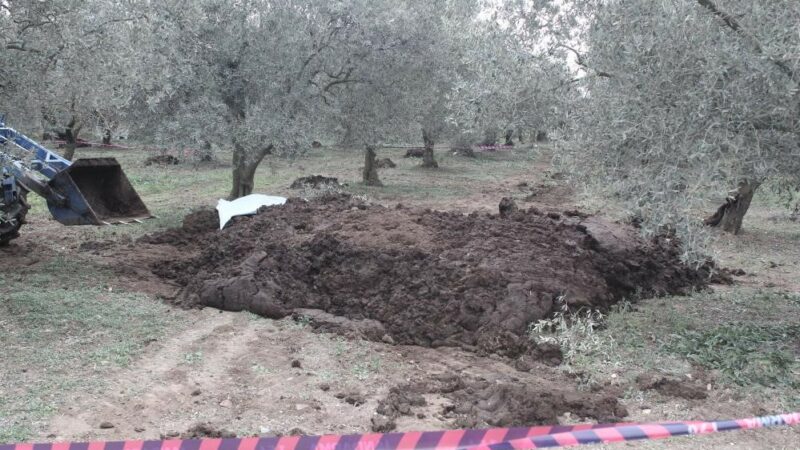 Bursa’daki korkunç cinayette flaş gelişme! Kırmızı bülten çıkarıldı Bursa’nın Orhangazi ilçesinde geçen yıl bir zeytin bahçesinde hayvan gübresi