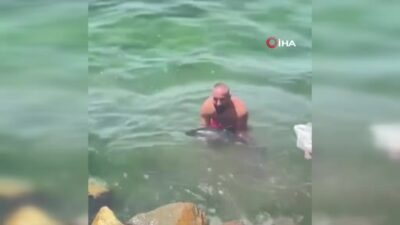 Bursa’da balıkçıların ağına yavru yunus takıldı