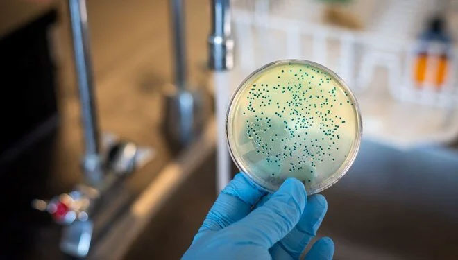 En ölümcül patojen! Yılda yarım milyon insanı öldürüyor