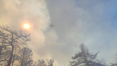 İzmir’de orman yangını