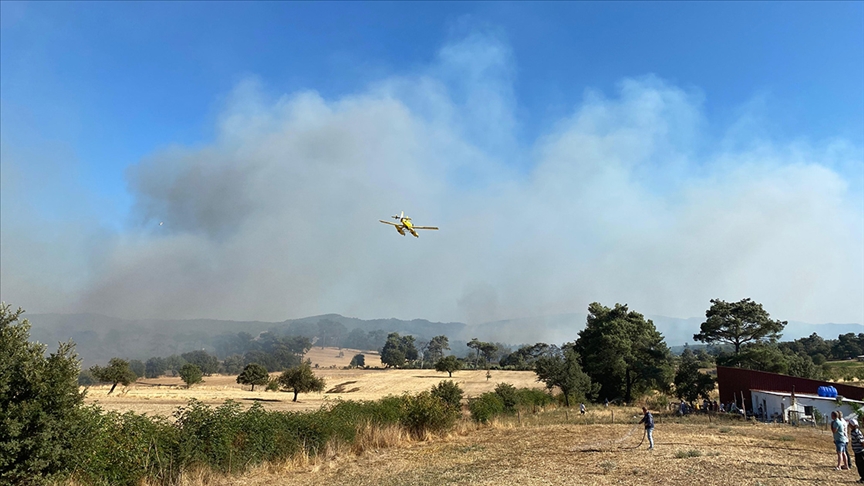 3 ilde orman yangını
