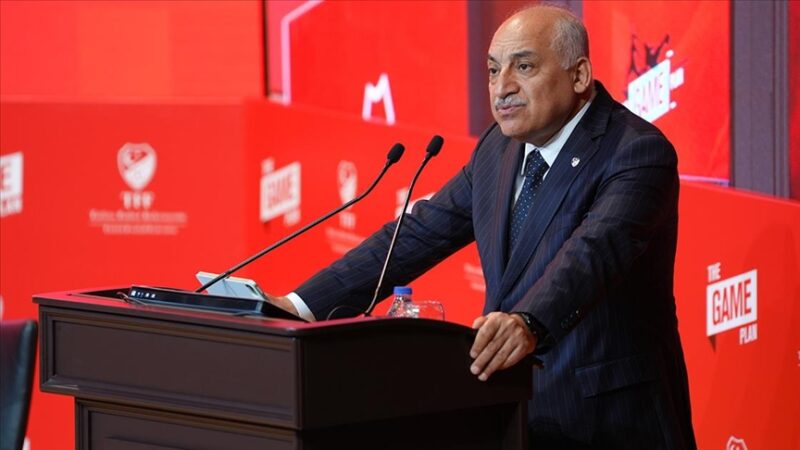 Türkiye Futbol Federasyonu (TFF) Başkanı Mehmet Büyükekşi, 2024 Avrupa Şampiyonası