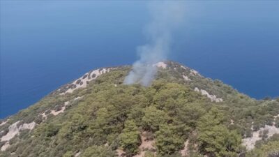Muğla’daki orman yangını kontrol altına alındı