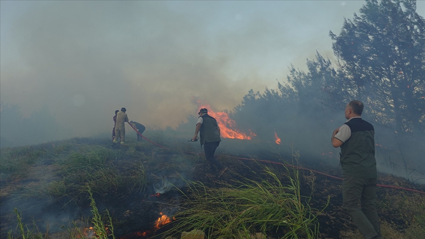 Adana’da orman yangını! Kontrol altına alındı