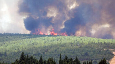 Türkiye’deki orman yangınları söndürüldü mü? İşte son durum…