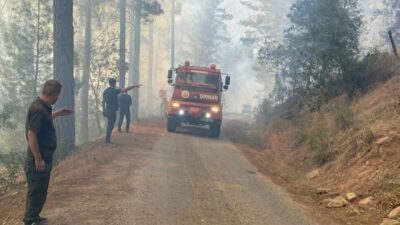 Dört ilde birden korkutan orman yangını!