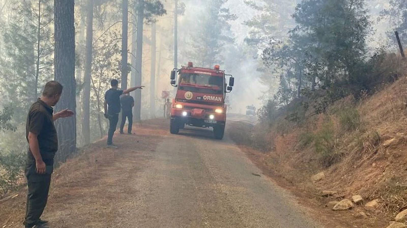 Dört ilde birden korkutan orman yangını!