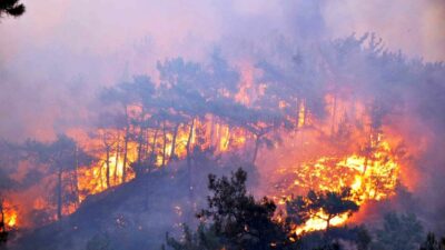 Orman yangınını önlemek için vatandaşa düşen görevler neler?