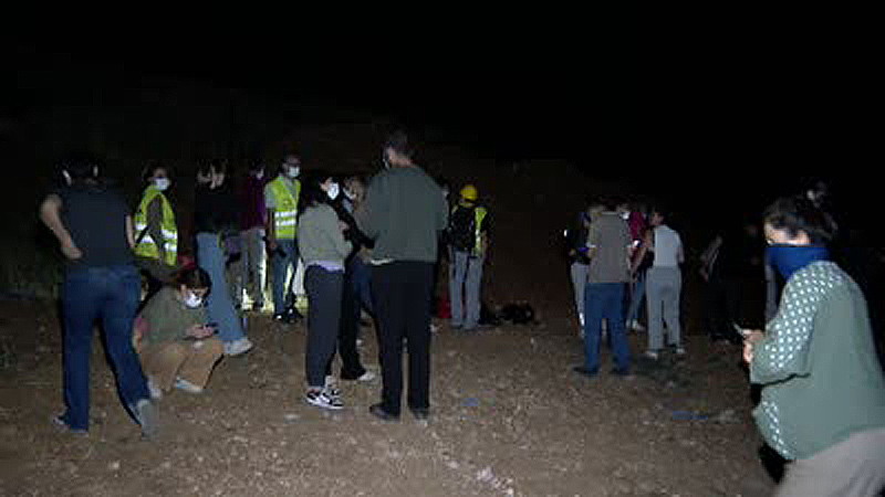 Ankara’da köpek ölümleri