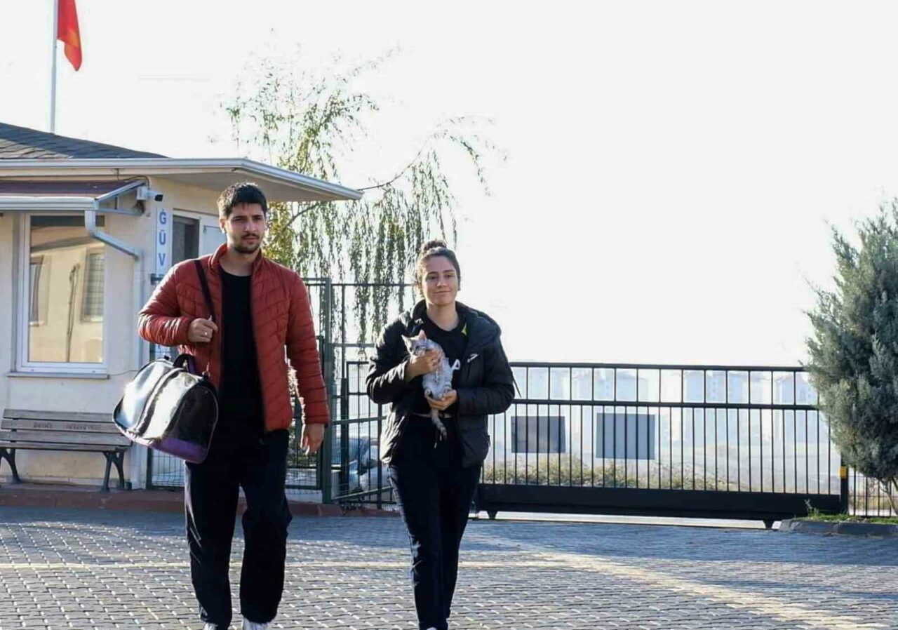 İnegöl’de 266 can dostu yeni yuvasına kavuştu