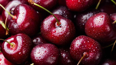 Bursa’nın tescilli markasından güzel haber!