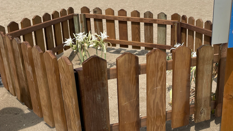 Bursa’da koruma altına alındılar! Koparmanın cezası 387 bin lira Bursa’da koruma altına alındılar! Koparmanın cezası 387 bin lira