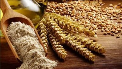 Bursalı çiftçiye ‘Büyük’ destek