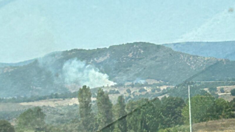 Bursa'nın Orhaneli ilçesinde tarım arazisinde çıkan yangın, ekiplerin müdahalesiyle söndürüldü.
