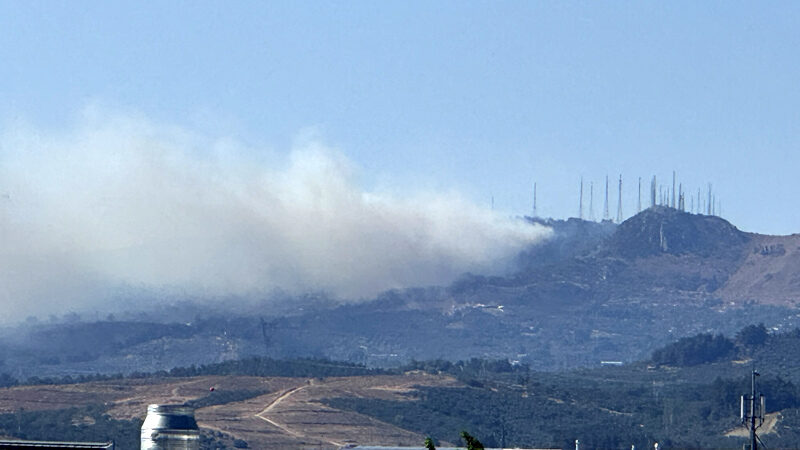 Bursa'nın Osmangazi ilçesindeki ormanlık alanda çıkan yangın kontrol altına alındı.