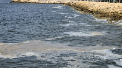 1 aydır deniz yüzeyini kapladı: ‘Müsilajdan beter’