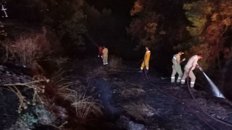 Bursa’nın, Büyükorhan ilçesi ile Balıkesir’in Dursunbey ilçesi arasında bulunan ormanlık