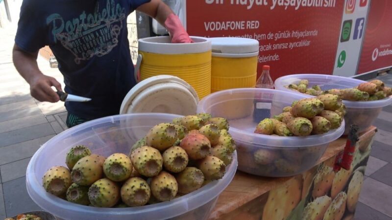 Mersin'de doğada kendiliğinden yetişen dikenli incir seyyar tezgahlarda yerini aldı.