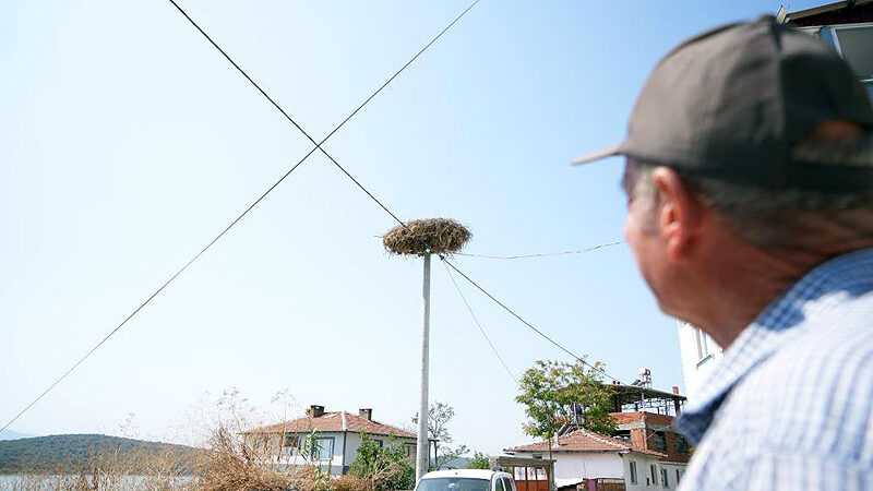 Bursa’da Yaren leylek göç yoluna çıktı! Adem amca: Alışmak zorundayız Bursa’da 13 yıldır balıkçı Adem Yılmaz ile kurduğu dostlukla milyonların