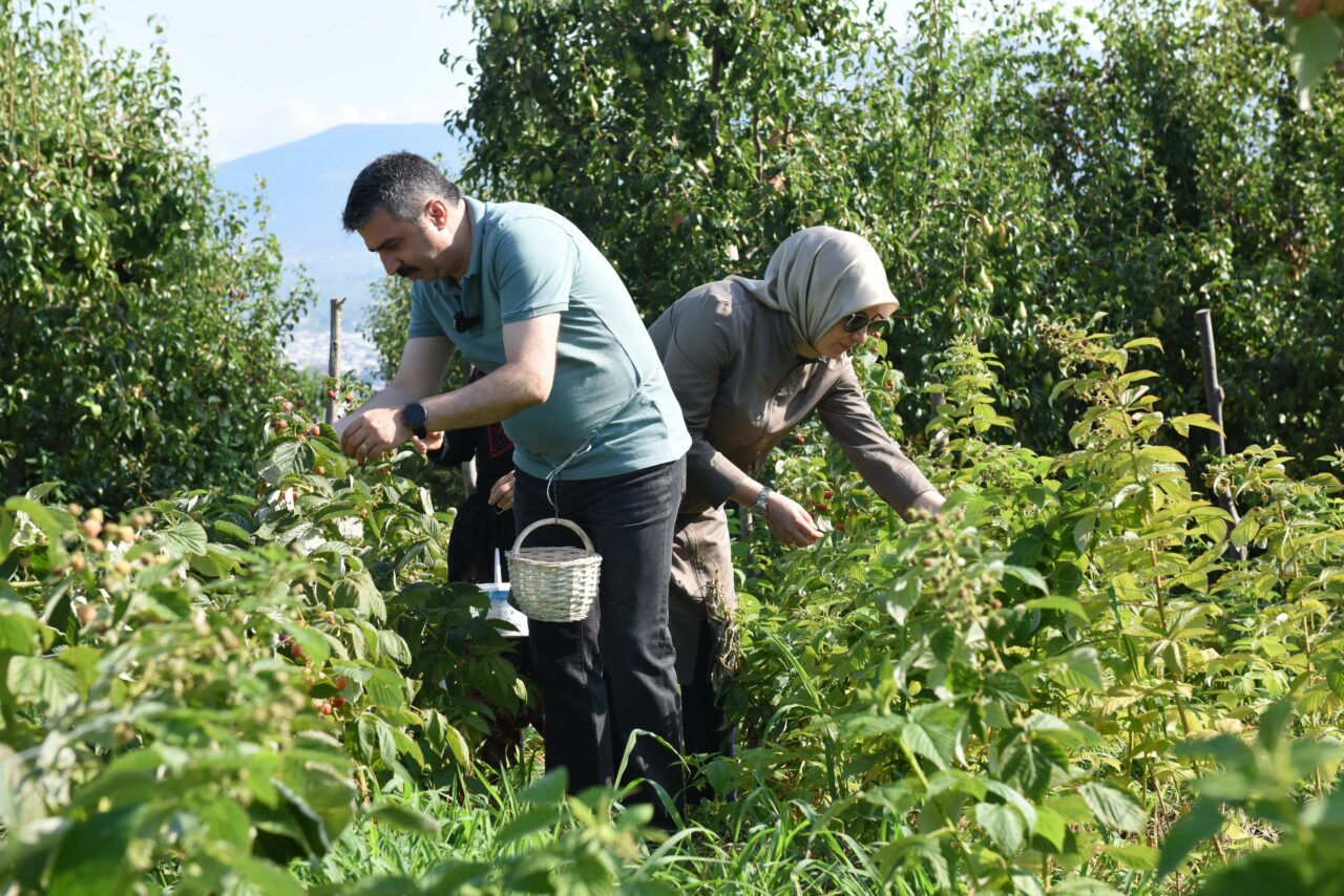 Bursa’da tarladan sofraya kadın eli