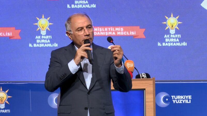 Efkan Ala, Bursa’da konuştu: ‘Altın yıl olacak’ AK Parti Genel Başkanvekili Efkan Ala, "Pandemi döneminde veya başka