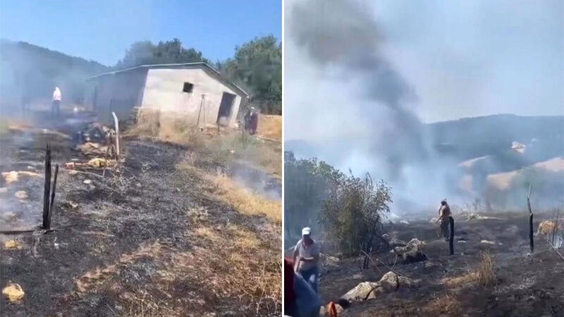 Bursa’nın Karacabey ilçesinde otluk alanda çıkan yangın korku dolu anlar