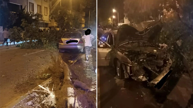Bursa’da kontrolden çıkan araç ağaçlara çarptı Bursa'nın Karacabey ilçesinde direksiyon hakimiyeti kaybedilen otomobil refüjde bulunan ağaca