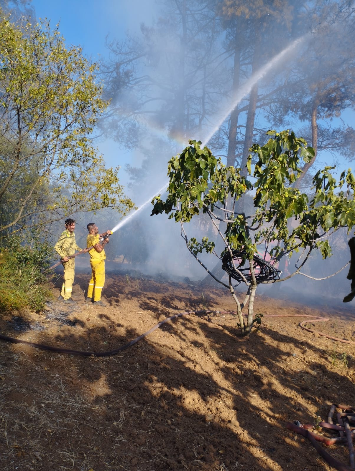Bursa’daki orman yangınında yeni gelişme! Bursa’daki orman yangınında yeni gelişme!