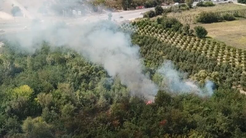 Bursa’da bir yangın daha Bursa’da otluk alanda çıkan yangın itfaiye ekipleri tarafından söndürüldü.
