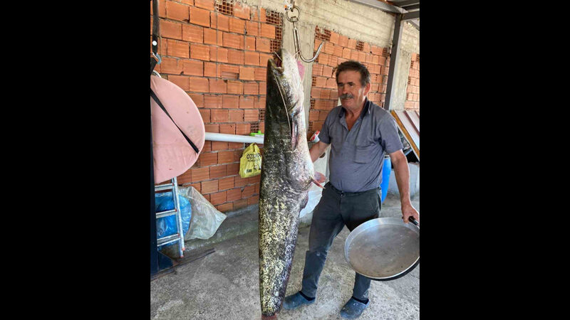 Bursa’nın Yenişehir ilçesindeki barajda, 1 metre 75 santimetre uzunluğunda 87