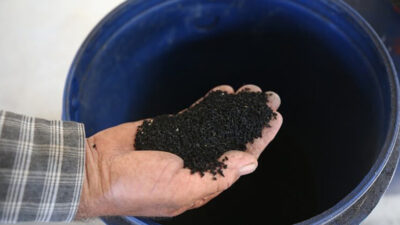 Bursalı çiftçinin kâbusu oldular!